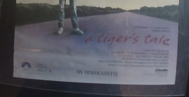 Actual A Tiger's Tale — home-video promotional poster detail image 4