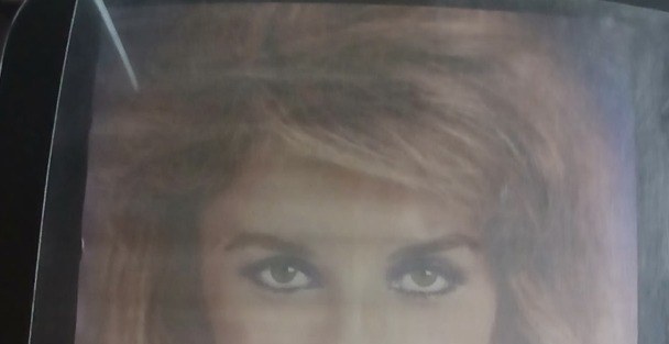 Actual A Tiger's Tale — home-video promotional poster detail image 2