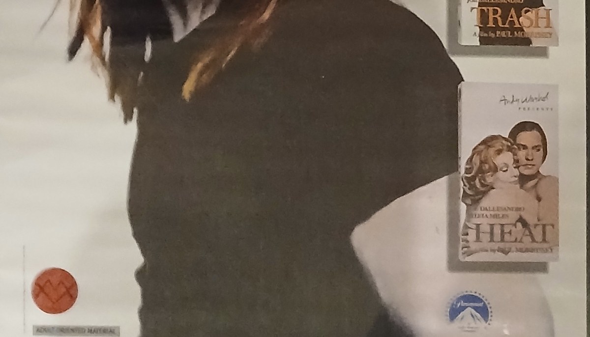 Actual Andy Warhol Presents Three Films by Paul Morrissey — videocassette poster detail image 4