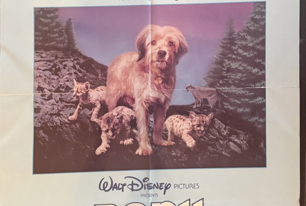 Actual Benji the Hunted — Walt Disney Home Video poster detail image 3