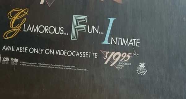 Actual Deidre Hall: Glamorous, Fun, Intimate — home-video promotional poster detail image 4