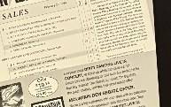 Actual Dirty Dancing — “Retailers Sing the Praises” video sales sheet detail image 3