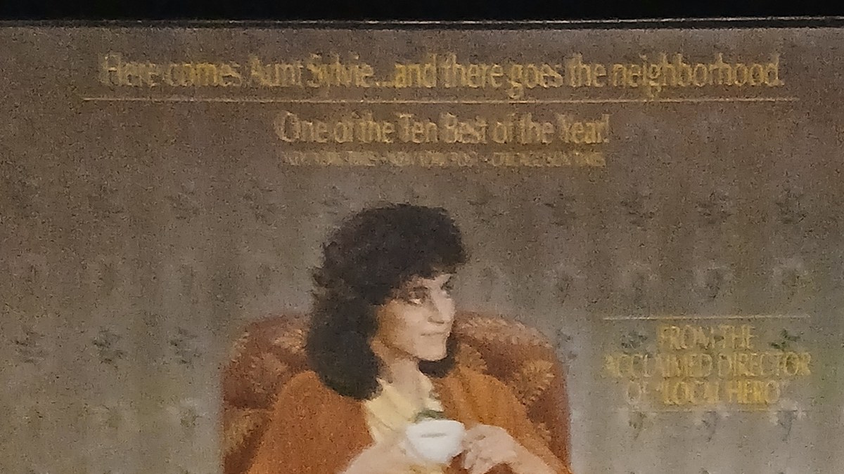 Actual Housekeeping — Columbia videocassette promotional poster detail image 2