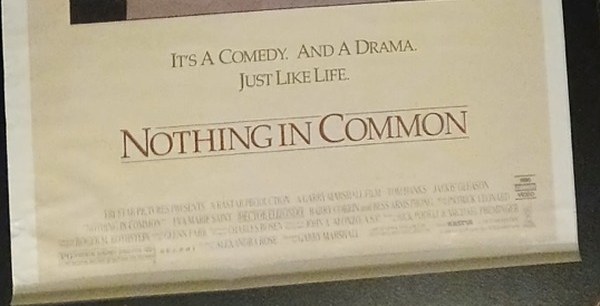 Actual Nothing in Common — home-video promotional poster detail image 4