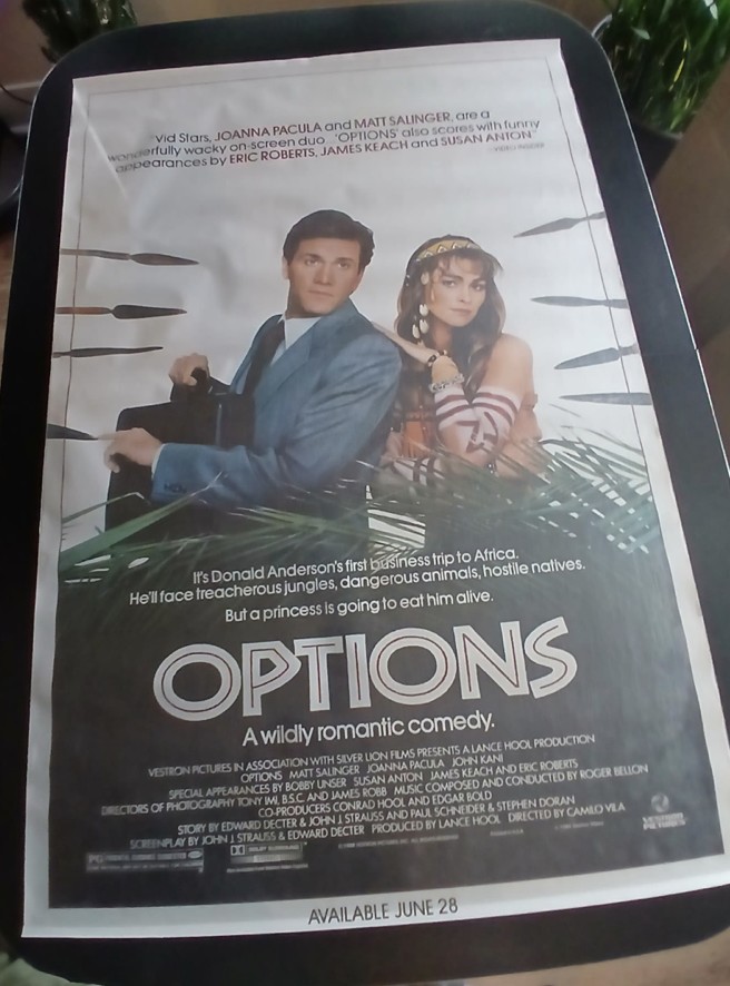 Actual Options — home-video promotional poster front photograph