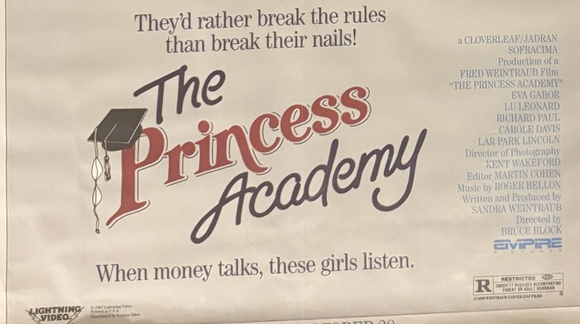 Actual The Princess Academy — Lightning Video promotional poster detail image 4