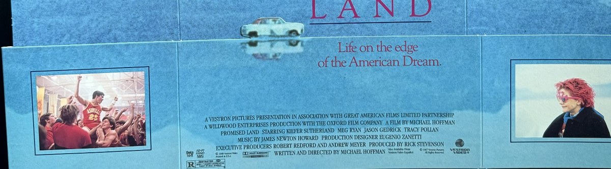 Actual Promised Land — Vestron die-cut video-store display detail image 4