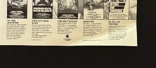 Actual Save the Day! — action video release sheet detail image 4