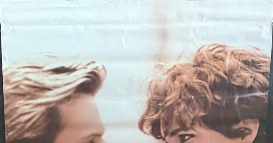 Actual She’s Having a Baby — Paramount videocassette promotional poster detail image 2