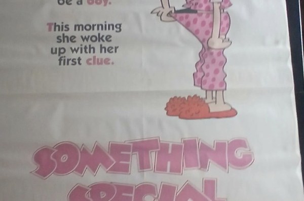 Actual Something Special — home-video promotional poster detail image 3