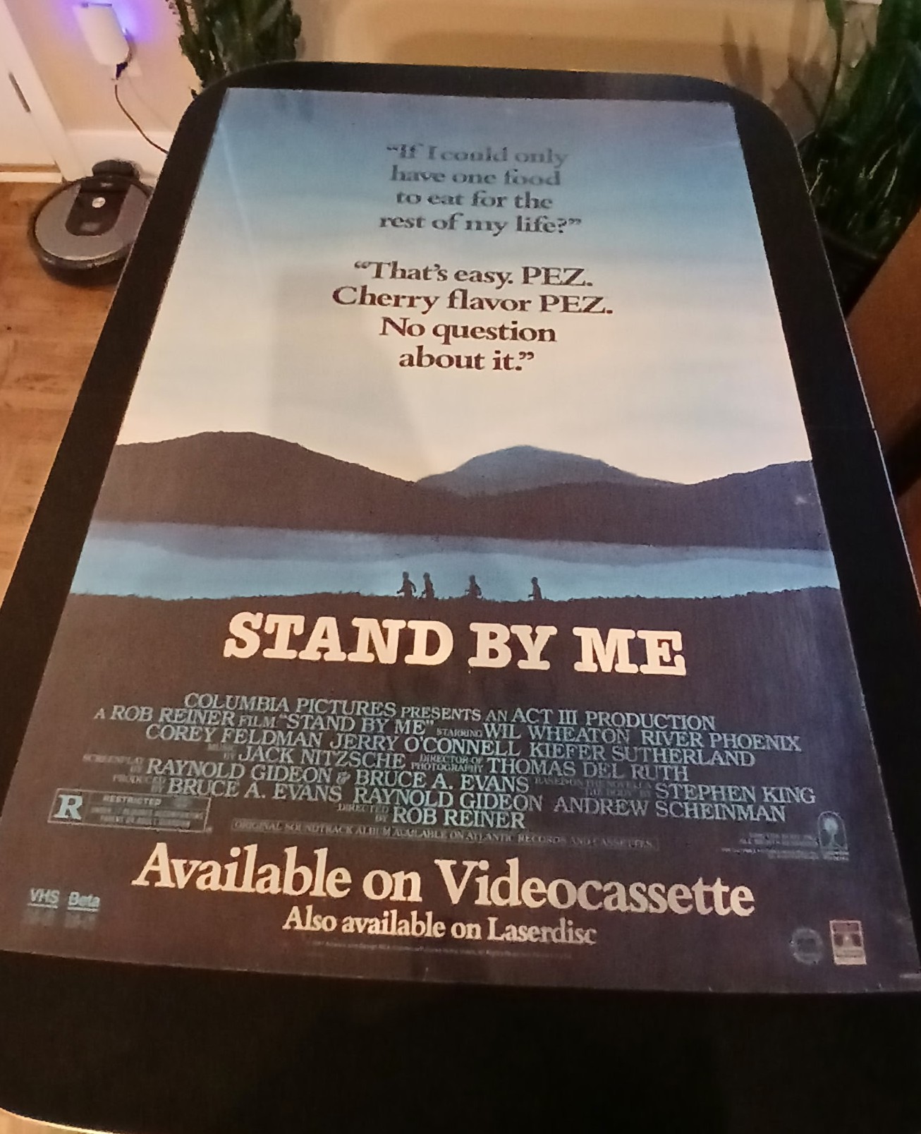Actual Stand by Me — home-video promotional poster front photograph