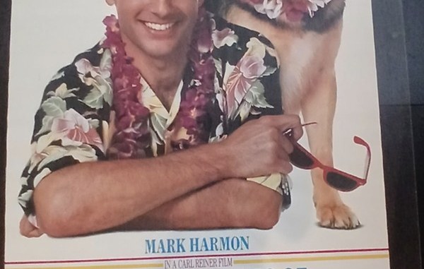 Actual Summer School — home-video promotional poster detail image 3