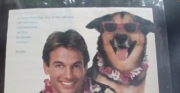 Actual Summer School — home-video promotional poster detail image 2