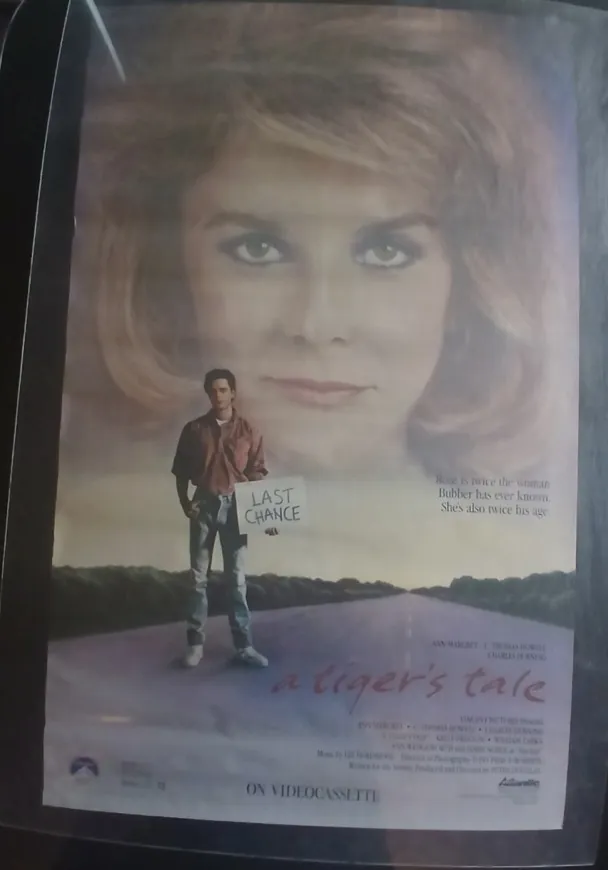 Actual A Tiger's Tale — home-video promotional poster front photograph