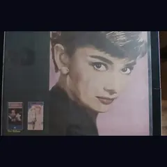 Actual Audrey Hepburn — home-video collection promotional poster detail image 3