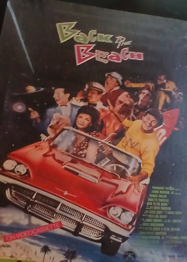 Actual Back to the Beach — home-video promotional poster front photograph