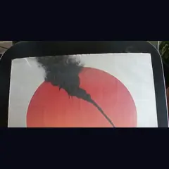 Actual Empire of the Sun — home-video promotional poster detail image 2