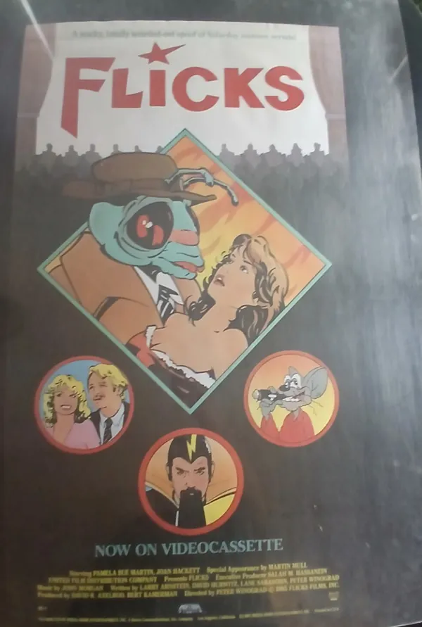 Actual Flicks — home-video promotional poster front photograph