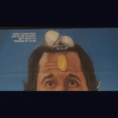 Actual Funny Farm - Warner Bros. theatrical promotional poster detail image 2
