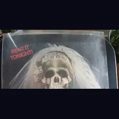 Actual Honeymoon — home-video promotional poster detail image 2