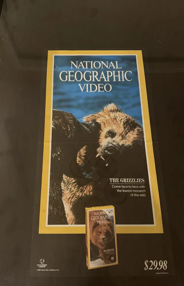 Actual National Geographic Video: The Grizzlies - Vestron promotional poster front photograph