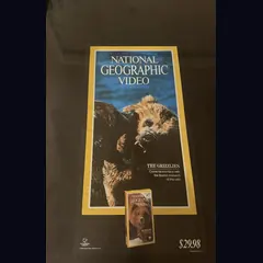 Actual National Geographic Video: The Grizzlies - Vestron promotional poster detail image 1