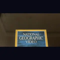 Actual National Geographic Video: The Grizzlies - Vestron promotional poster detail image 2