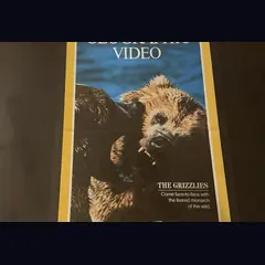 Actual National Geographic Video: The Grizzlies - Vestron promotional poster detail image 3