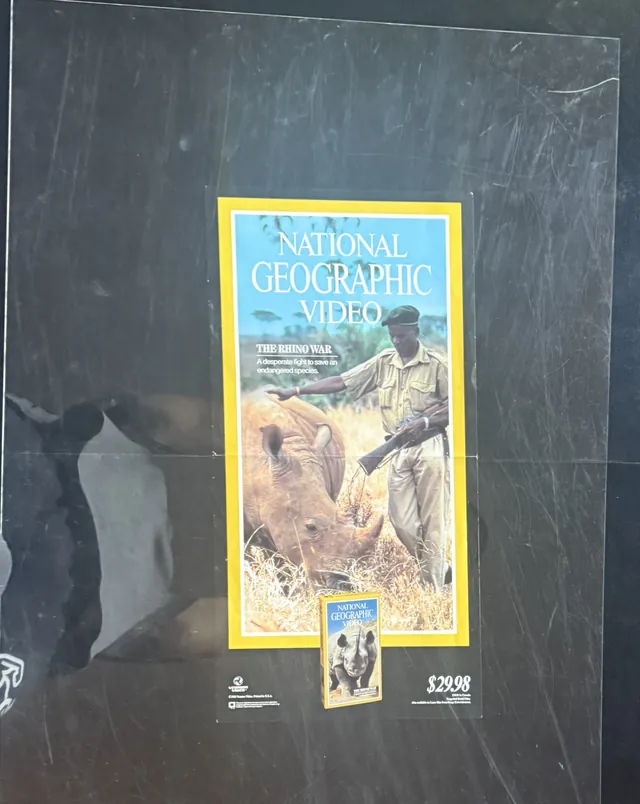 Actual National Geographic Video: The Rhino War - retail poster front photograph