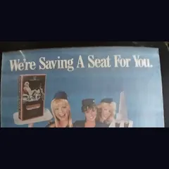 Actual Stewardess School — home-video promotional poster detail image 2