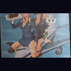 Actual Stewardess School — home-video promotional poster detail image 3