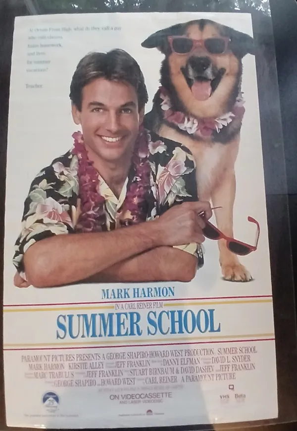 Actual Summer School — home-video promotional poster front photograph