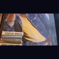 Actual Teen Wolf — home-video promotional poster detail image 3